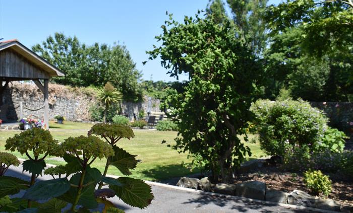 Llys Aeron Gardens